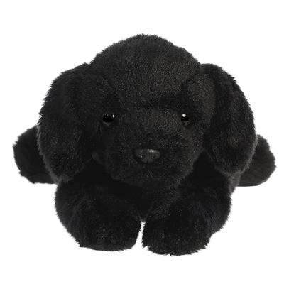 Flopsie - Black Labrador