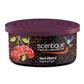 Scentique Natural Gel Can Air Freshener - Cherry